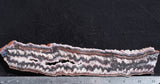Cady Mountain Rock Slab 172