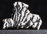 Zebra Lace Agate Rock Slab 31