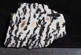Zebra Lace Agate Rock Slab 27