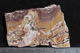 Sonoran Dendritic Rhyolite Rock Slab 481