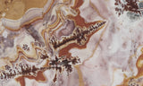 Sonoran Dendritic Rhyolite Rock Slab 481