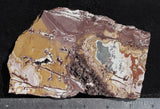 Sonoran Dendritic Rhyolite Rock Slab 486