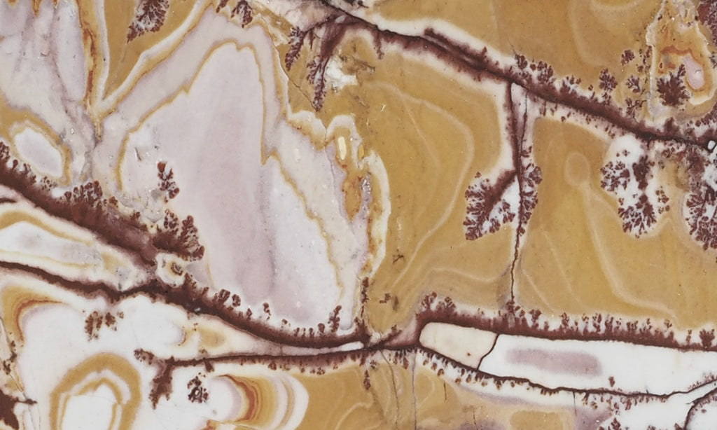 Sonoran Dendritic Rhyolite Rock Slab 486 – DD Rocks