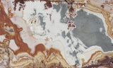 Sonoran Dendritic Rhyolite Rock Slab 486