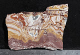 Sonoran Dendritic Rhyolite Rock Slab 462