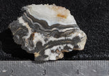 Miscellaneous Assortment Rock 429