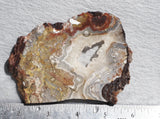 Mexican Crazy Lace Agate Rock slab 0304