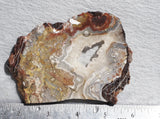 Mexican Crazy Lace Agate Rock slab 0304