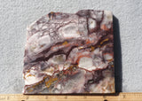 Sierra Sunset Jasper Slab 365