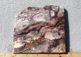 Sierra Sunset Jasper Slab 365