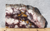 Sierra Sunset Jasper Slab 366