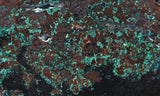 Midnite Apache Chrysocolla Slab 292
