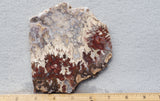 Bargain Bin F Slab 161