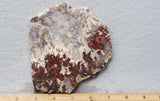 Bargain Bin F Slab 161