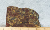 Fruit Jasper Slab 299