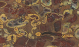 Fruit Jasper Slab 299