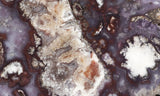 Bargain Bin E Slab 282