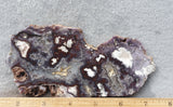 Mojave Lavender Lace Agate 81