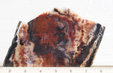 Mexican Flame Agate Rock Slab 47