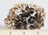 Mexican Dendritic Opal Slab 13