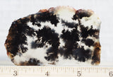 Mexican Dendritic Opal Slab 27