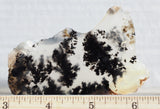 Mexican Dendritic Opal Slab 22