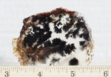 Mexican Dendritic Opal Slab 29