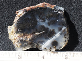 Mexican Dendritic Opal Slab 29