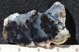 Mexican Dendritic Opal Slab 22