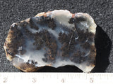 Mexican Dendritic Opal Slab 27