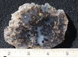 Mexican Dendritic Opal Slab 13