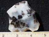 Mexican Dendritic Opal Slab 26