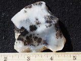 Mexican Dendritic Opal Slab 26