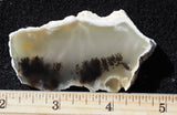 Mexican Dendritic Opal Slab 24