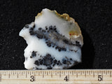 Mexican Dendritic Opal Slab 28