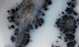 Mexican Dendritic Opal Slab 28