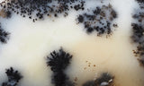 Mexican Dendritic Opal Slab 12