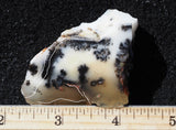 Mexican Dendritic Opal Slab 12