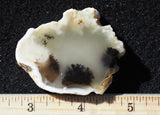 Mexican Dendritic Opal Slab 30