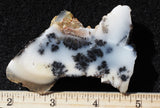 Mexican Dendritic Opal Slab 10