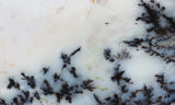 Mexican Dendritic Opal Slab 15