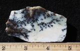 Mexican Dendritic Opal Slab 15