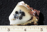 Mexican Dendritic Opal Slab 14