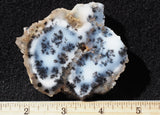 Mexican Dendritic Opal Slab 32