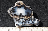 Mexican Dendritic Opal Slab 31