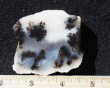 Mexican Dendritic Opal Slab 33