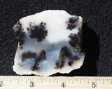 Mexican Dendritic Opal Slab 33