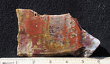 Petrified Wood Rock Slab 25