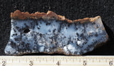 Mexican Moss Agate Rock Slab 298