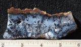 Mexican Moss Agate Rock Slab 298